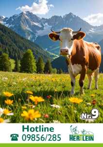 Hertlein Hauptkatalog Nr. 9